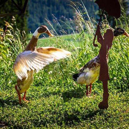 Gschwandtgut Urlaub Am Bauernhof Villa Schwemmberg Eksteriør bilde