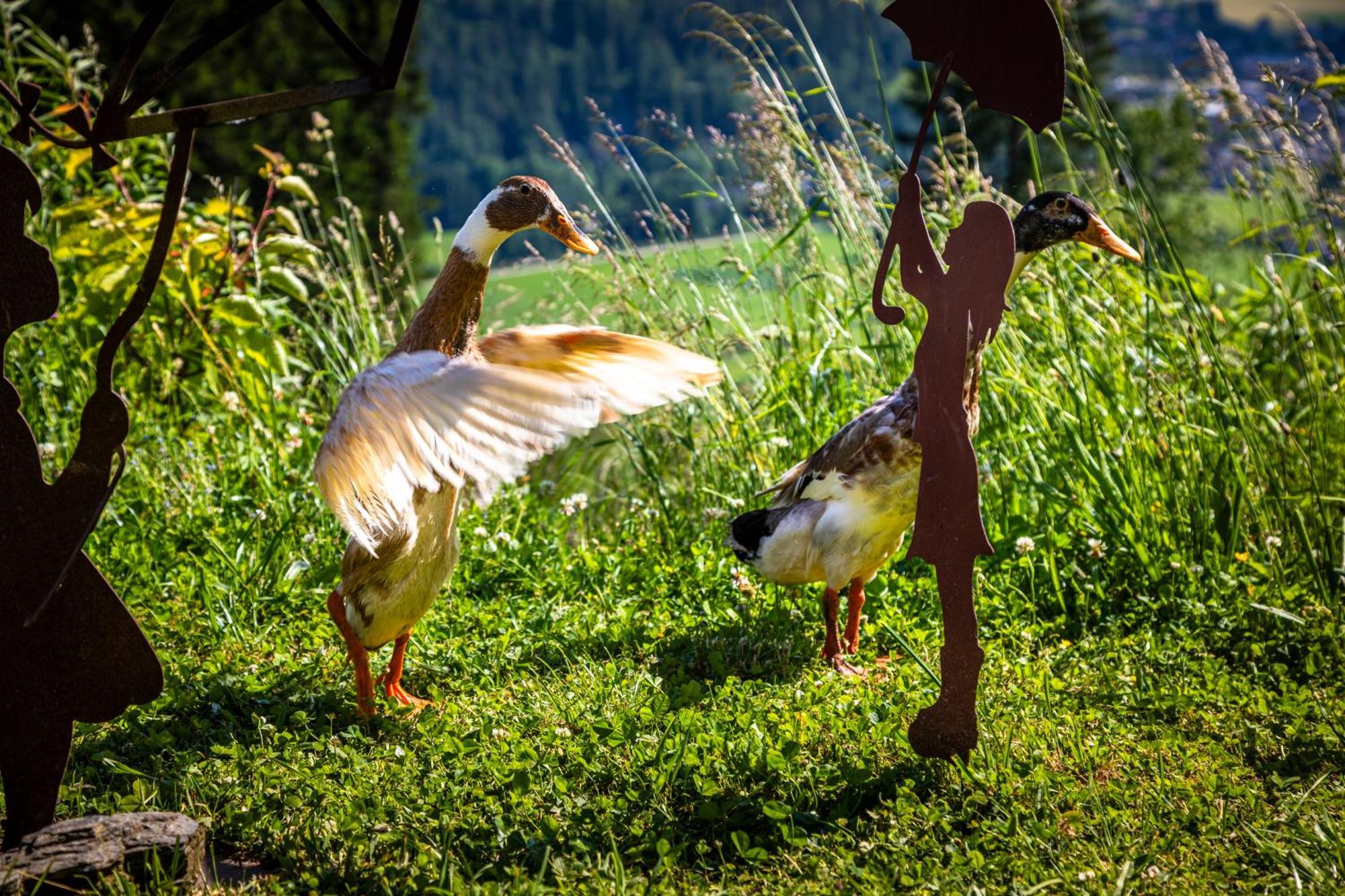 Gschwandtgut Urlaub Am Bauernhof Villa Schwemmberg Eksteriør bilde